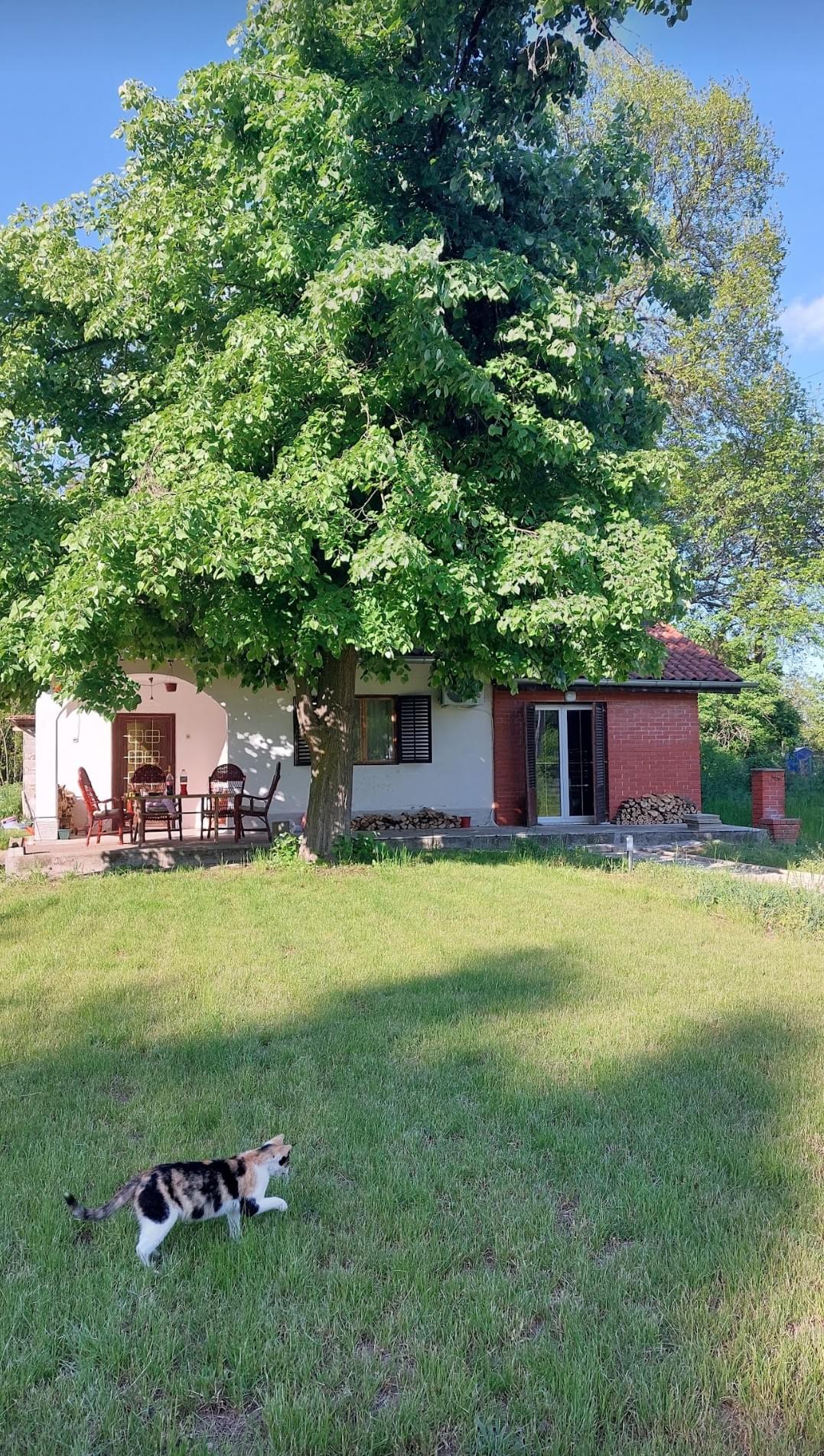 Screenshot 20230710 0854532