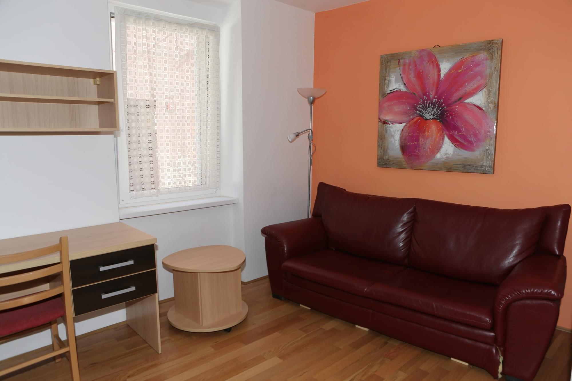 app. medved ma%C4%91o 001 min scaled