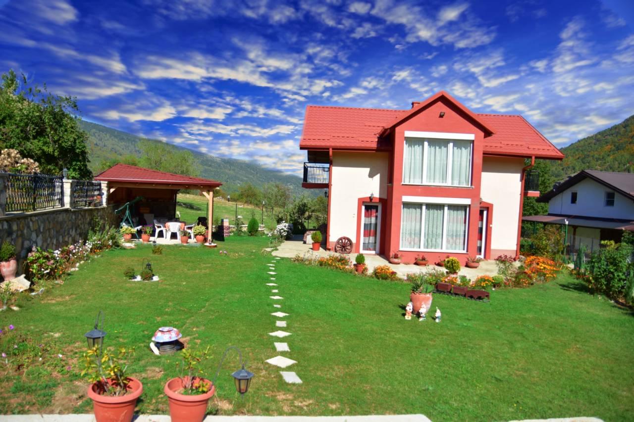 A8132698 7F08 4553 A449 7BF874E0FED3