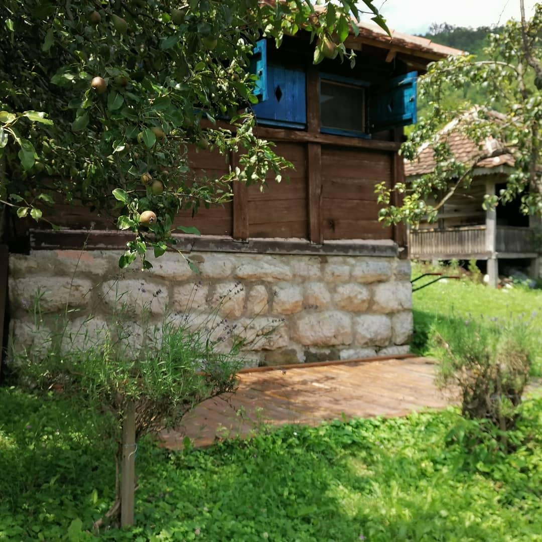 IMG d3e0291bf3958338128cb2d7c7d90e13 V