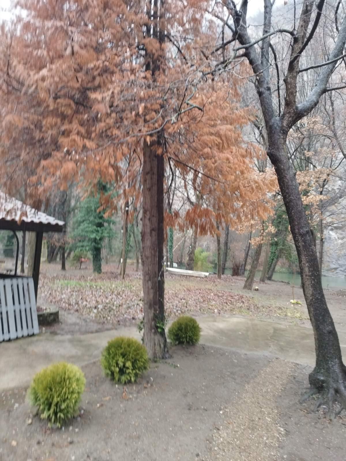 IMG 70e67a50d1e6832f69513aeb57b759cb V