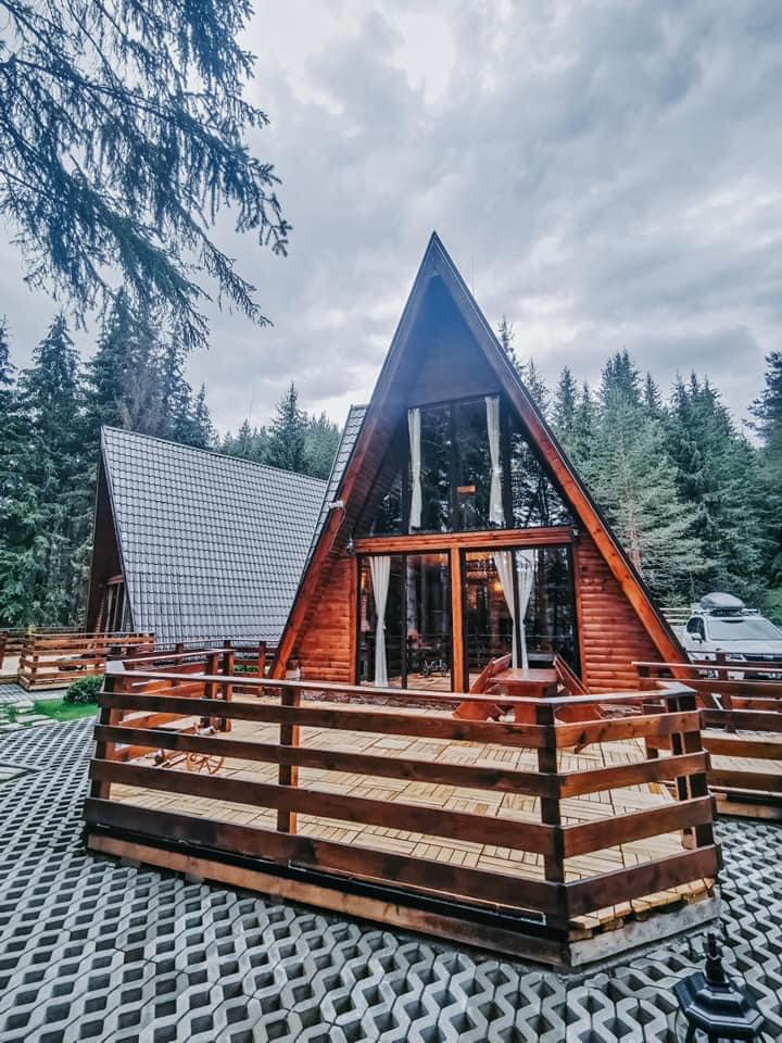 109646815 3402739193104768 199711679422659865 n