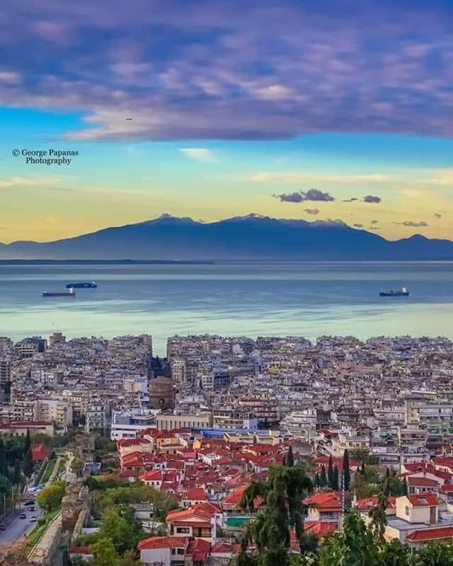 117467486 3212706142146383 813952562044891625 n