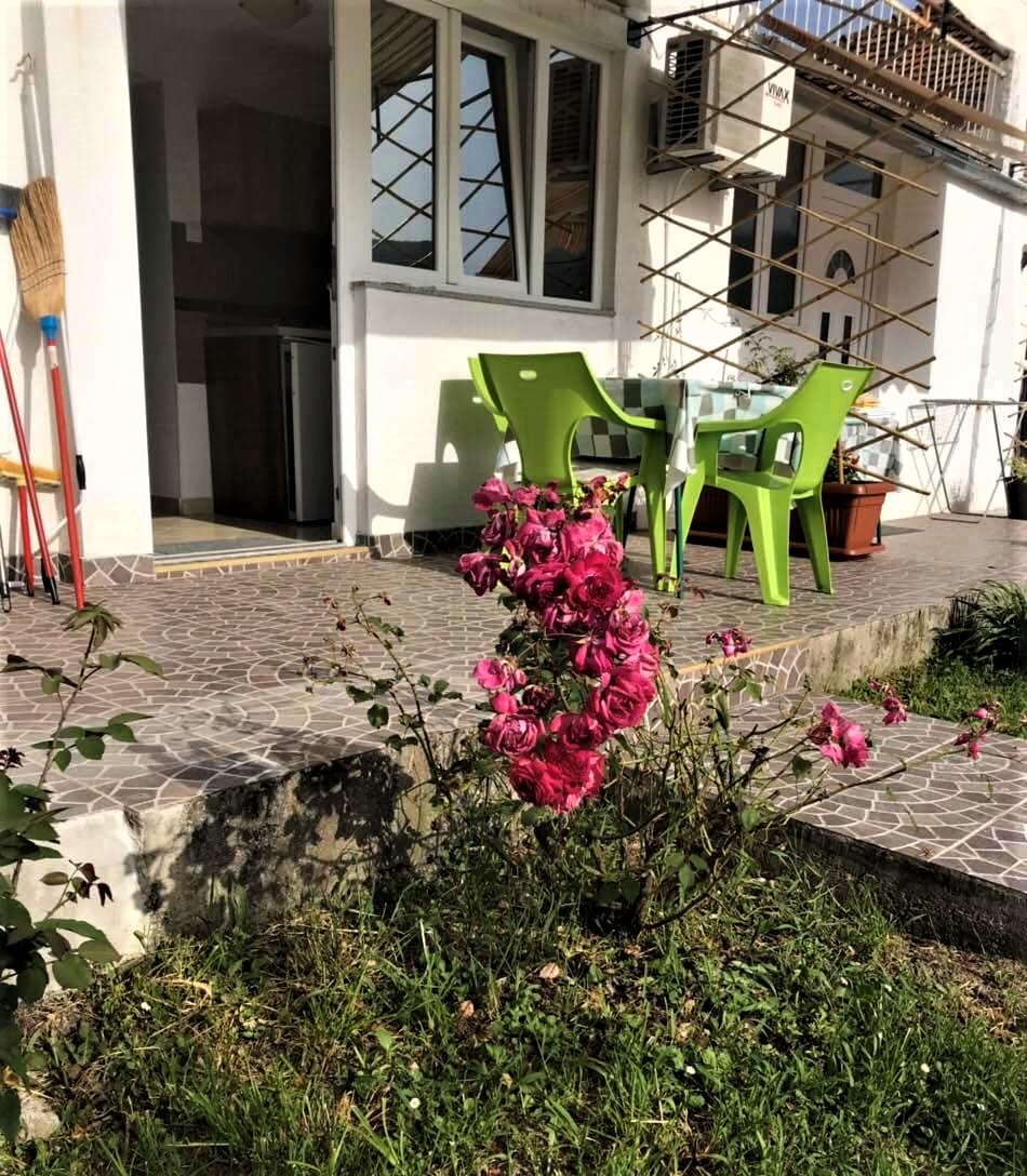 viber image 2020 05 09 22 2p5 30