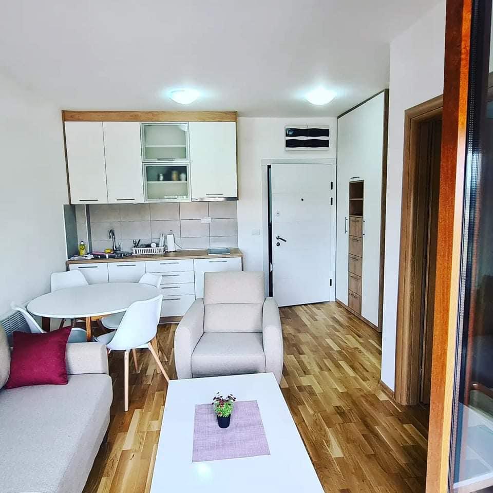 305023456 181840194337302 4633913730278849169 n