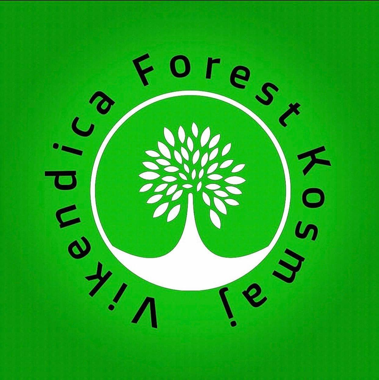 30AEA393 1FA6 40C6 888A 7958045A565E