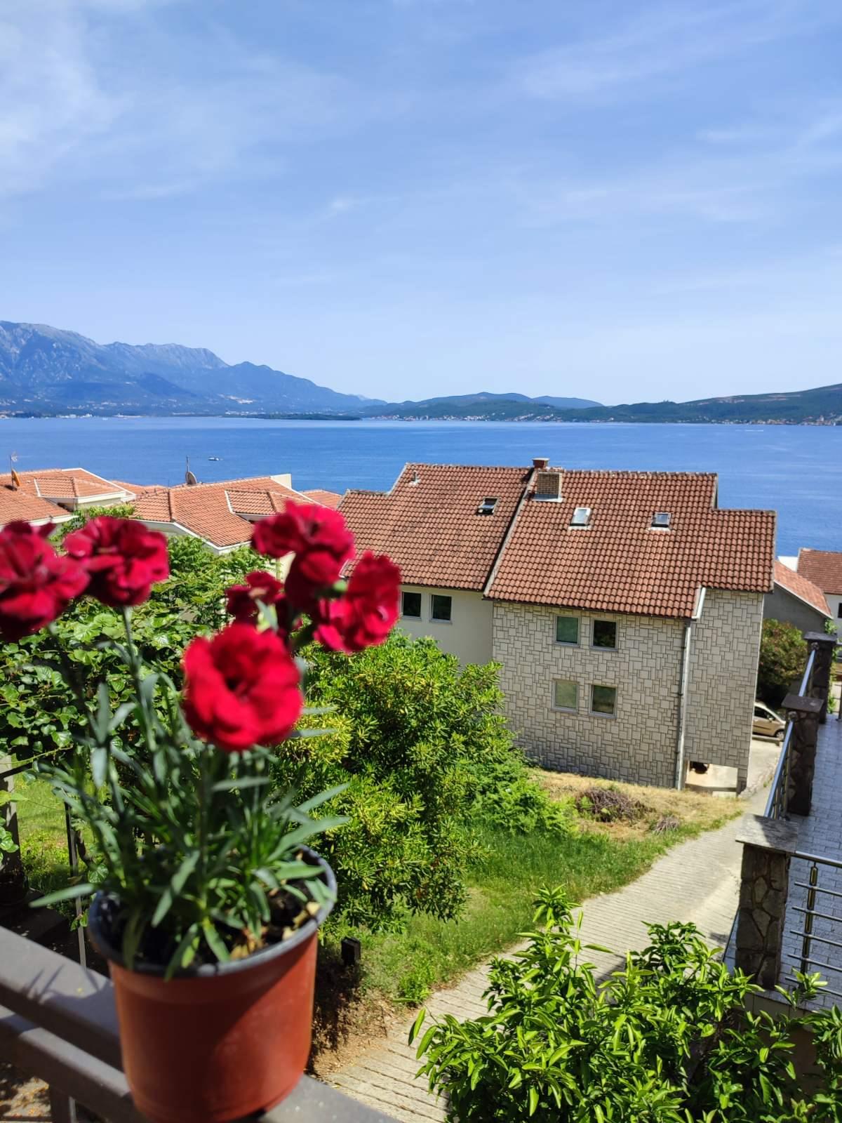 IMG ce508a1b404b17722f20507fa3f62306 V