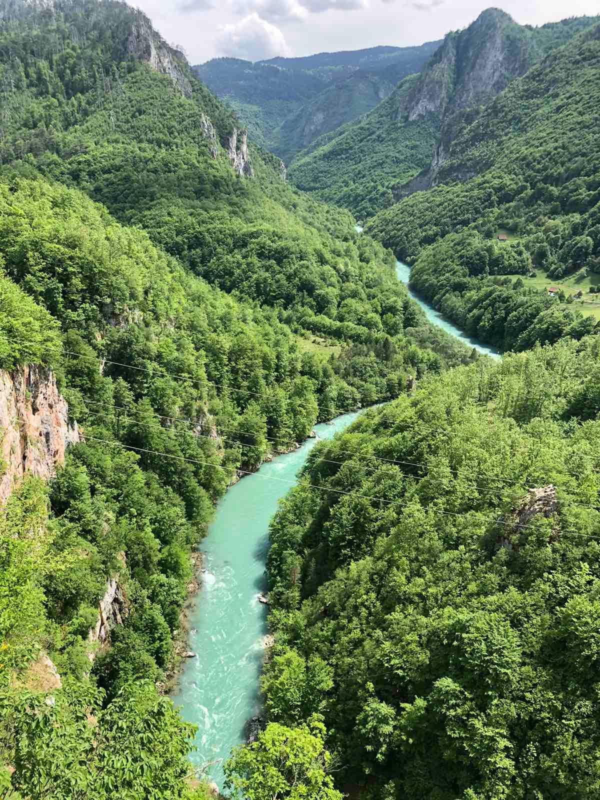 IMG 4cc58be6d801c4b20d470e20bf82f036 V