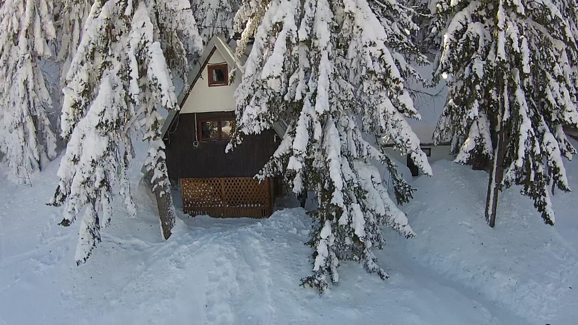 DJI00050.MP4.Still010