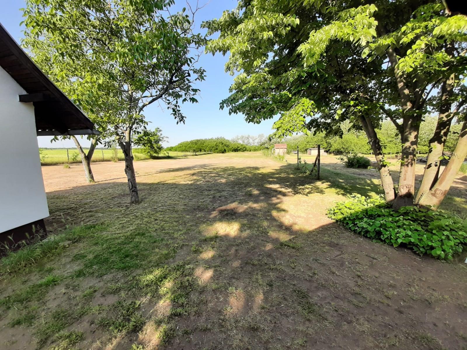 WhatsApp Image 2022 05 16 at 8.01.59 AM 3