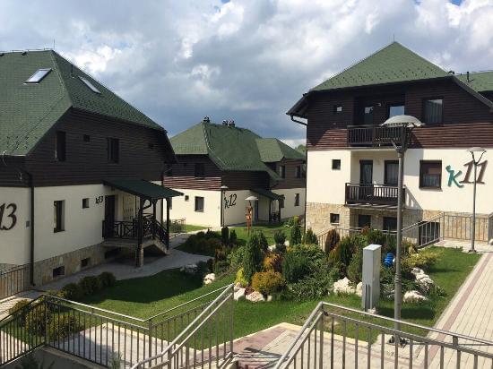 458803CE 1380 4045 AEBB 42D94438EA7D