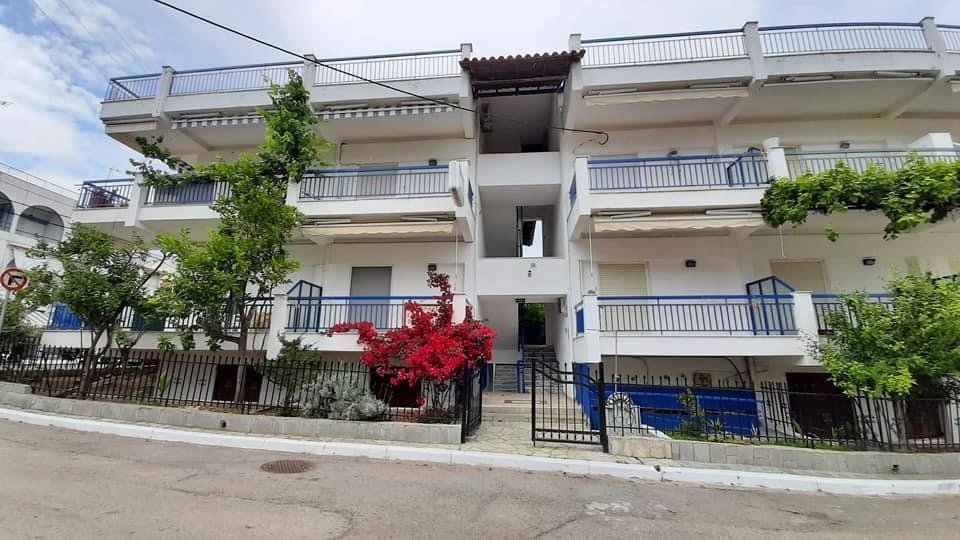 237000771 10159028656077928 4610385056406775957 n min