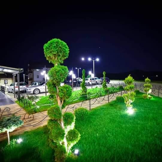 IMG 1ed6aef5a394f97ee31be389f8f81366 V