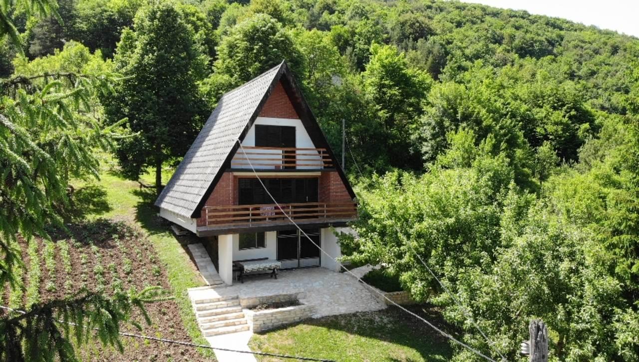 IMG 6140cf2c26b4910cb9dc68e83925727e V