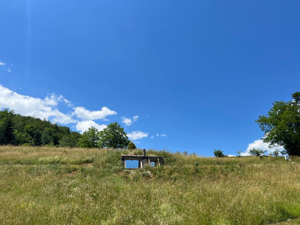 BAB2D4C2 BC7C 43D9 A8BF C6138CBC8221