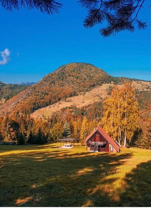 FC21826F 9901 439C BDB5 3397B4EF50B3