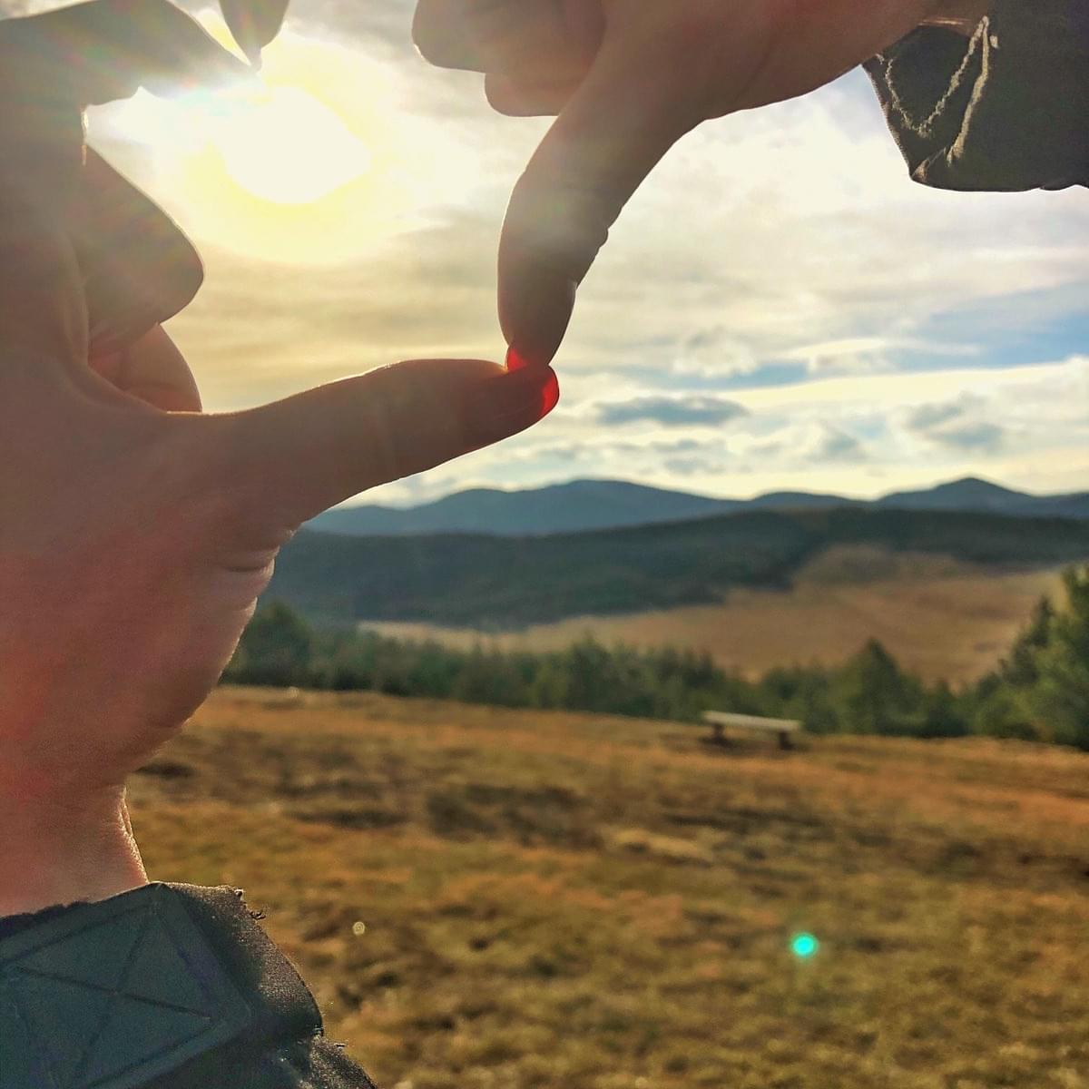 inbound7282900084745547571